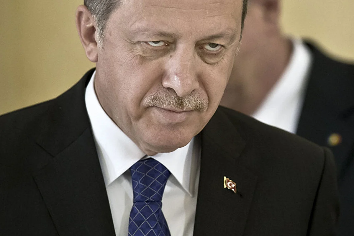 أردوغان يخير اللاجئين السوريين: إما تعملوا مرتزقة أو توقعون على المغادرة الفورية