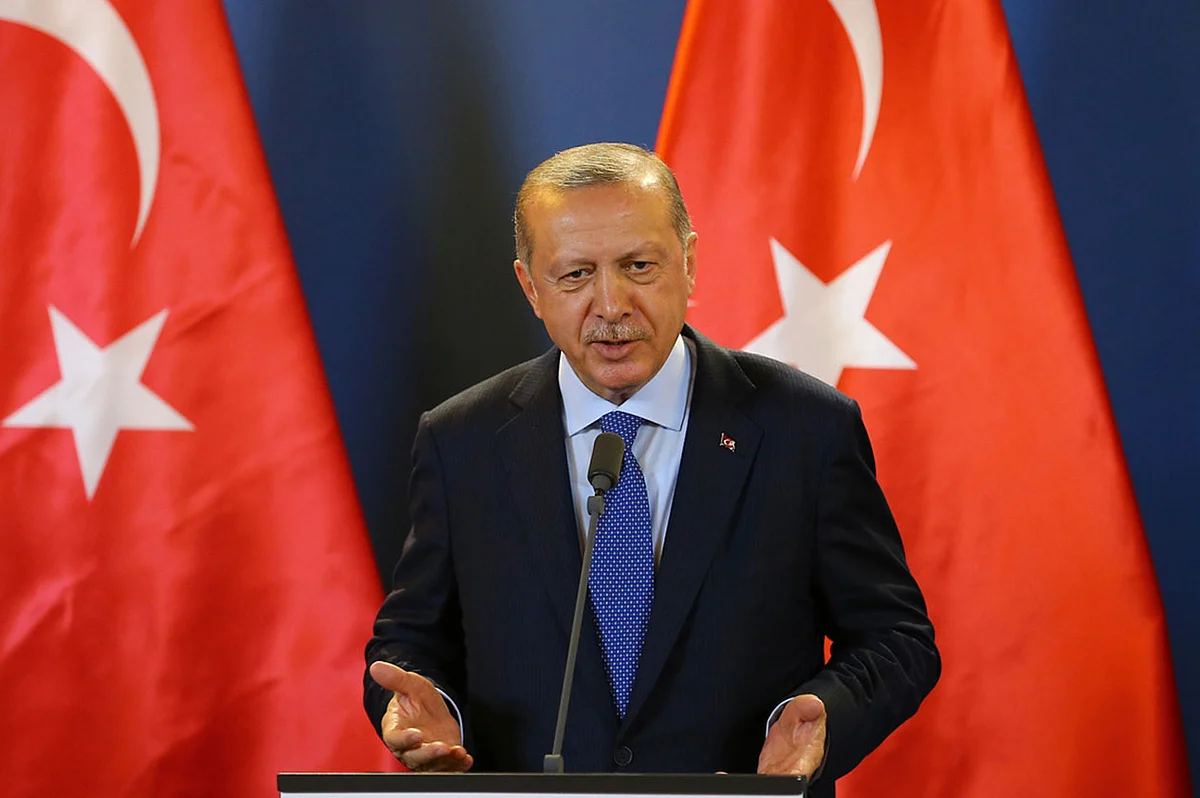 خبراء يحذرون: التساهل الدولي مع «مغامرة أردوغان» يشجع على غزو أراضي الغير