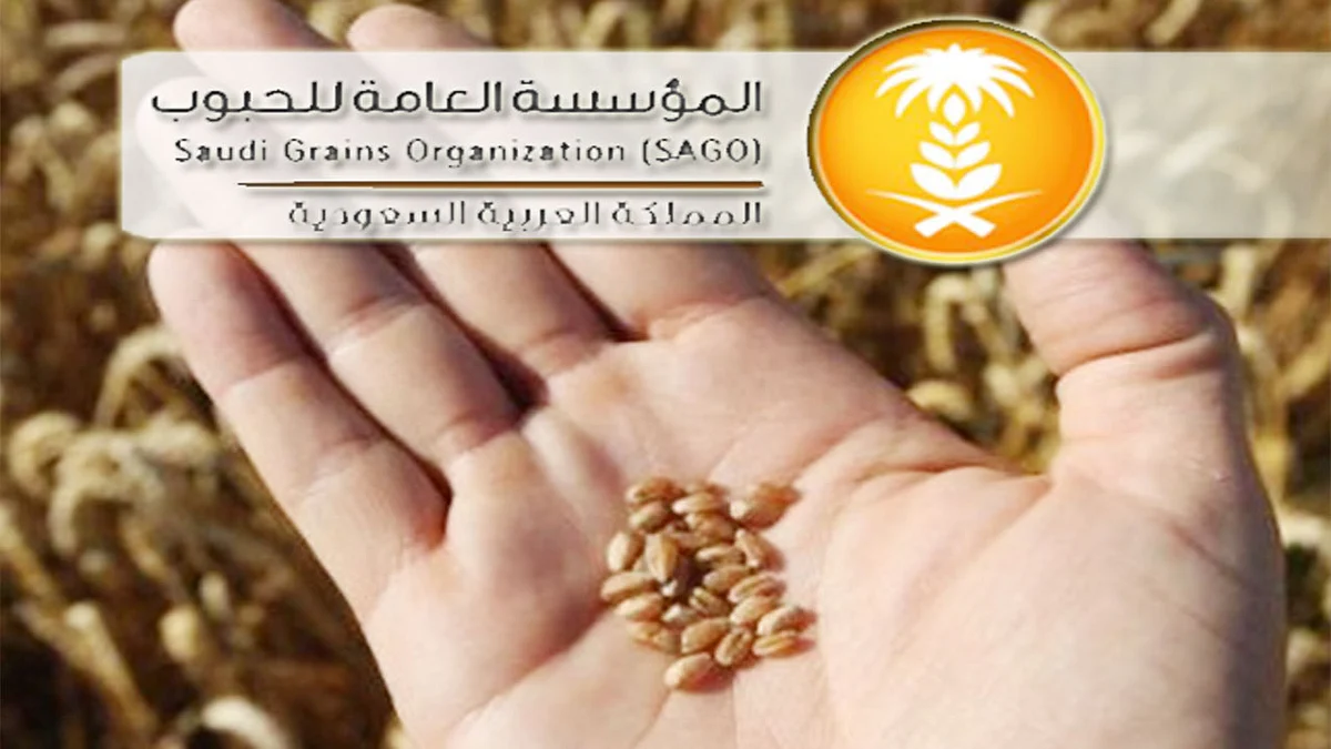 المؤسسة العامة للحبوب: انتهاء موسم توريد القمح المحلي