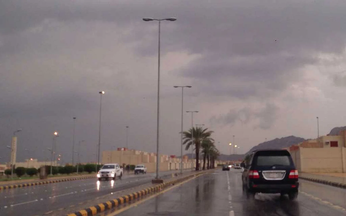 الحربي: برودة داخل المنازل أكثر من خارجها