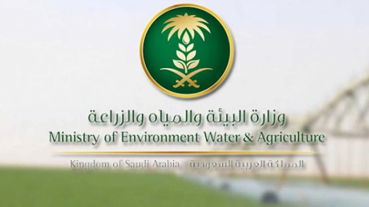 البيئة تطلق برنامجًا لتحسين إنتاج الأغنام