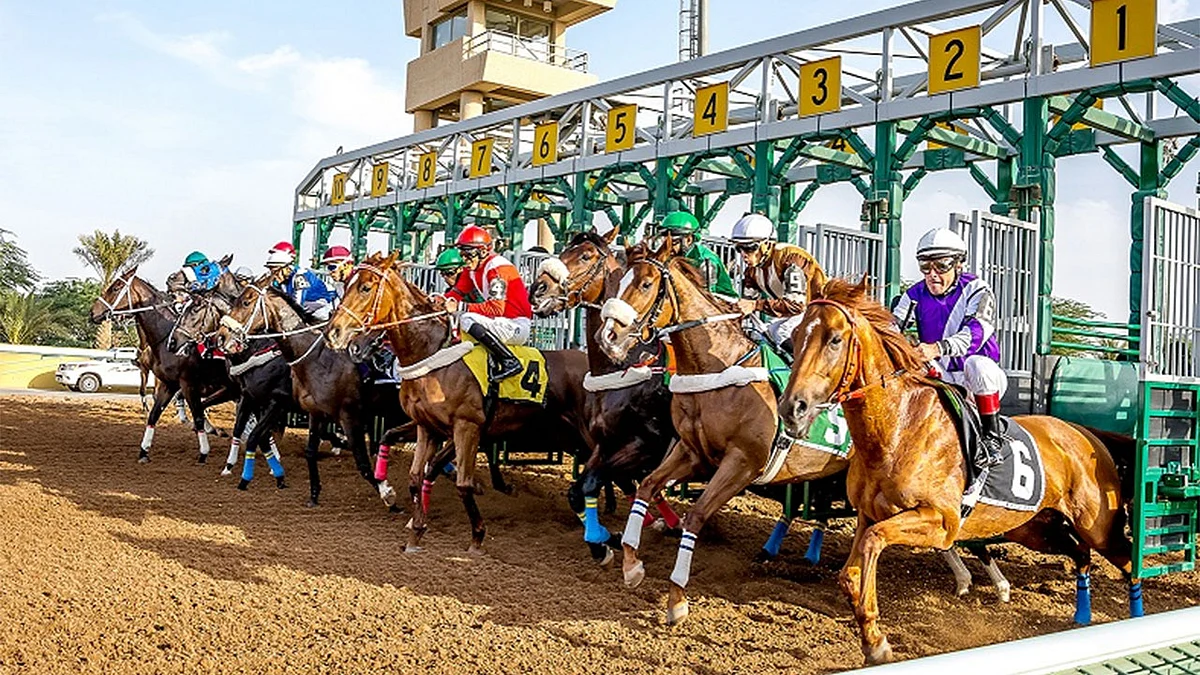 المملكة تنظم البطولة الأغلى عالميًا في سباقات الخيل بجوائز تفوق 29 مليون دولار