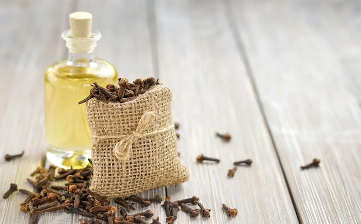 خلال موسم البرد.. 5 أعشاب تساعدك على الوقاية والعلاج من الإنفلونزا
