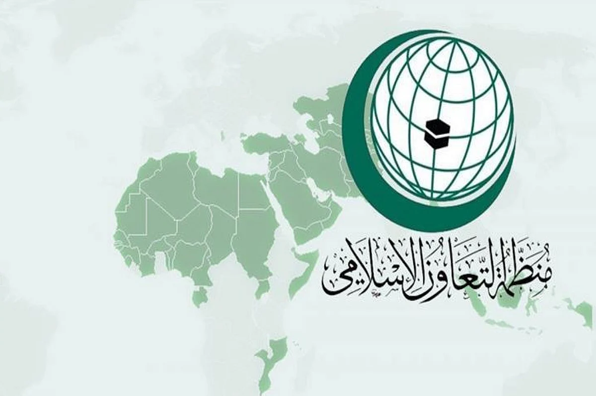 «التعاون الإسلامي» تدين عمليتي إطلاق نار في مدينة هاناو غربي ألمانيا