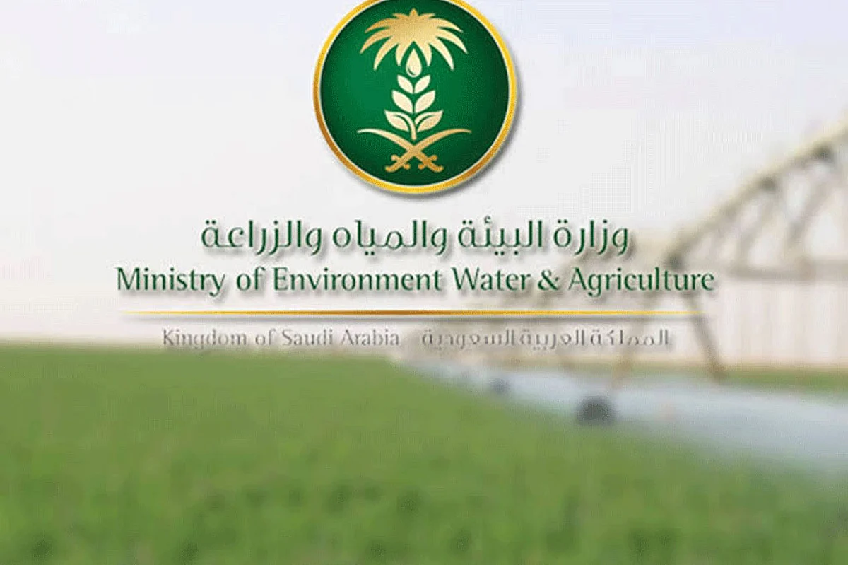 إنفوجراف.. غزو مكثف للجراد خلال الأيام المقبلة.. مع بدء التكاثر الربيعي