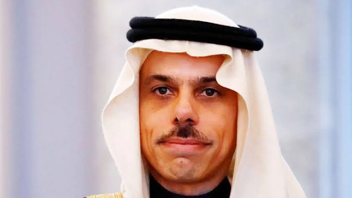 وزير الخارجية يستقبل نائب رئيس الكتلة البرلمانية لحزبي الاتحاد المسيحي بألمانيا