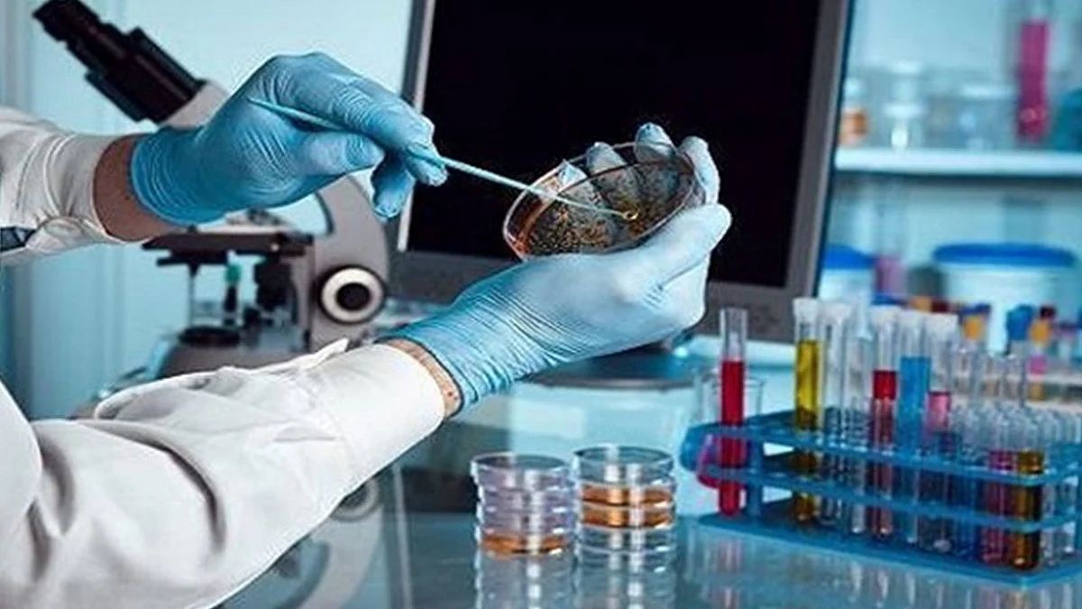 الجهات المعنية تباشر 3 إجراءات احترازية بشأن الوقاية من فيروس كورونا بالمدينة المنورة