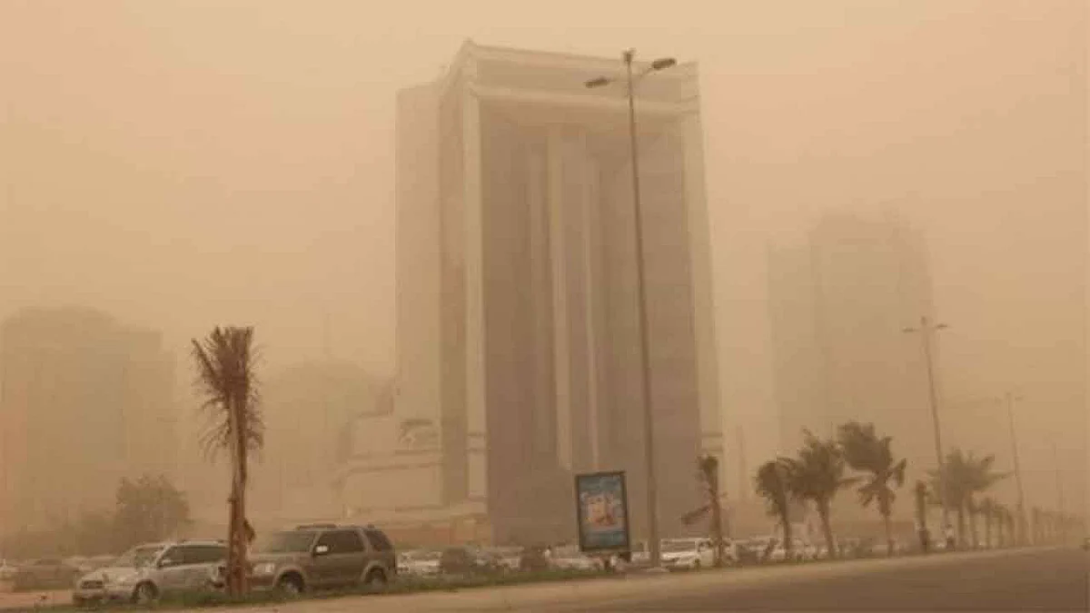 طقس الإثنين.. أمطار رعدية ورياح مثيرة للأتربة والغبار على 12 منطقة
