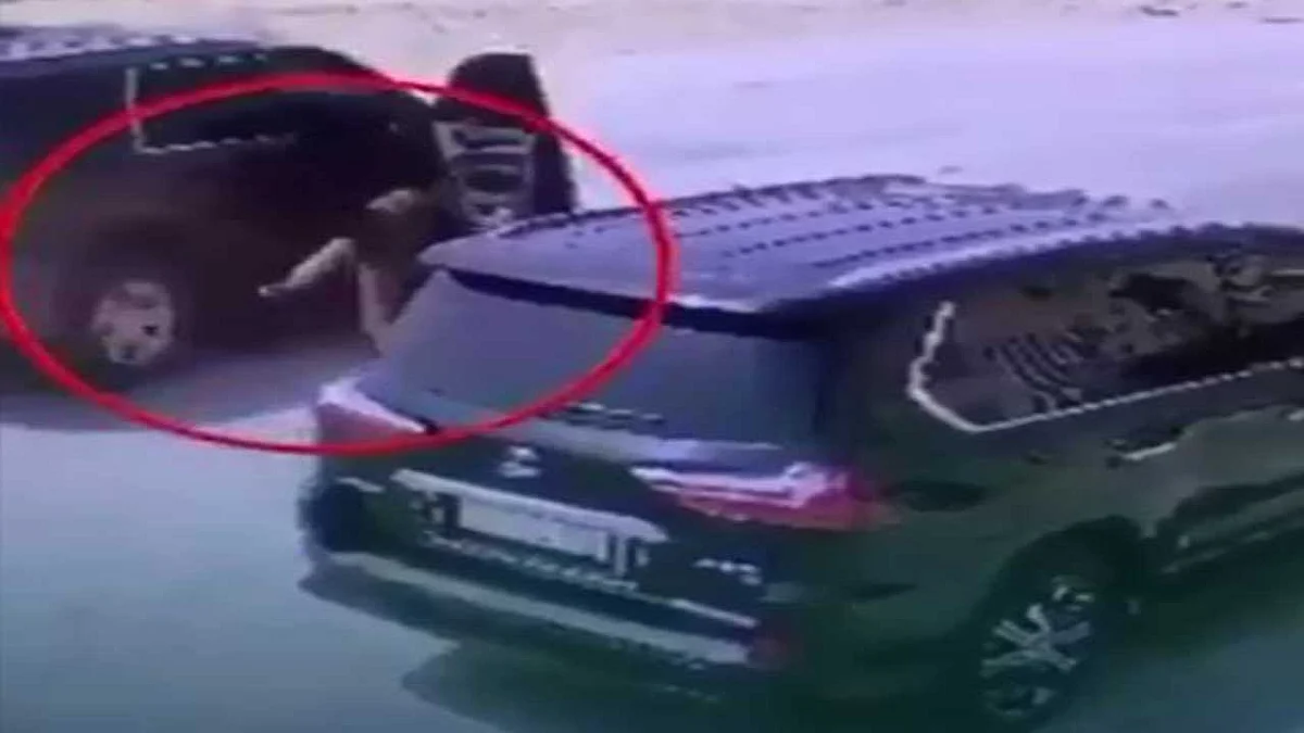 بالفيديو.. شرطة الرياض تضبط عصابة سرقت 16 مركبة تحت تهديد السلاح