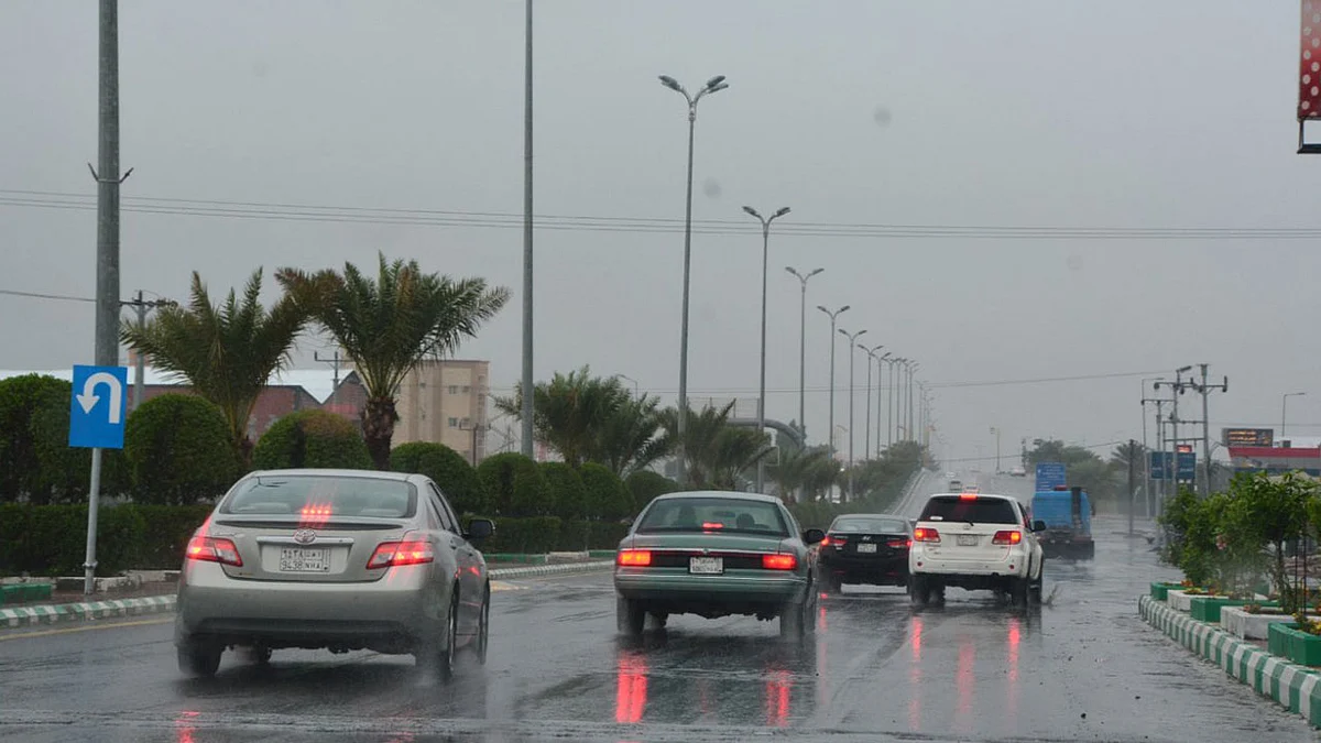 محلل طقس يتوقع استمرار فرص هطول الأمطار على 3 مناطق