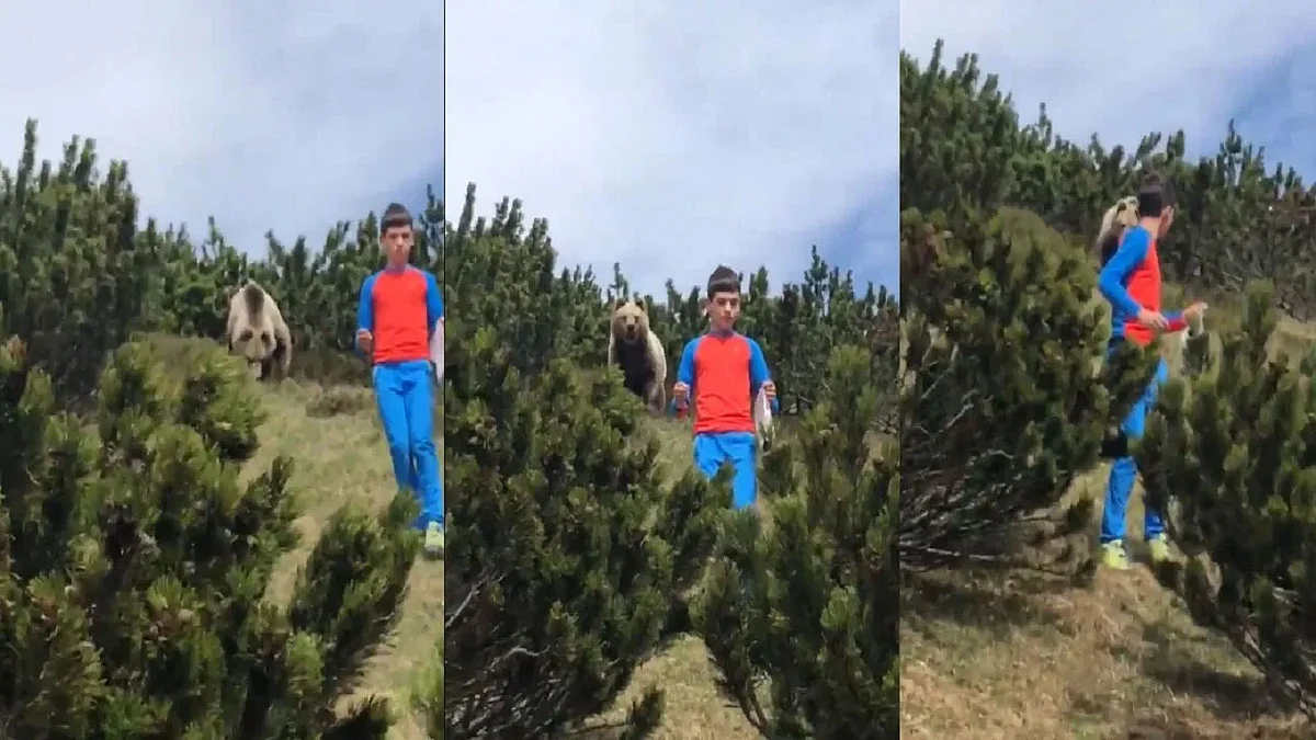 بالفيديو.. طفل يهرب من دب ضخم بخطة ذكية في إيطاليا