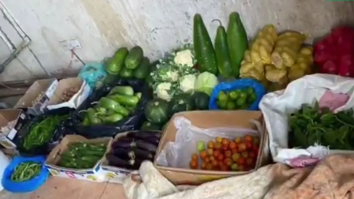 بالفيديو.. ضبط 2 طن لحوم وبيض فاسد في أبها