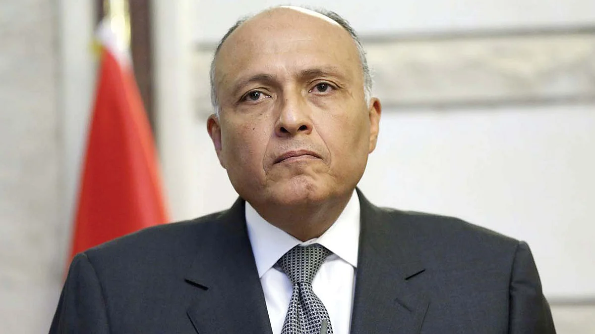 وزير خارجية مصر يؤكد استعداد بلاده الدائم للتفاوض بشأن سد النهضة الإثيوبي