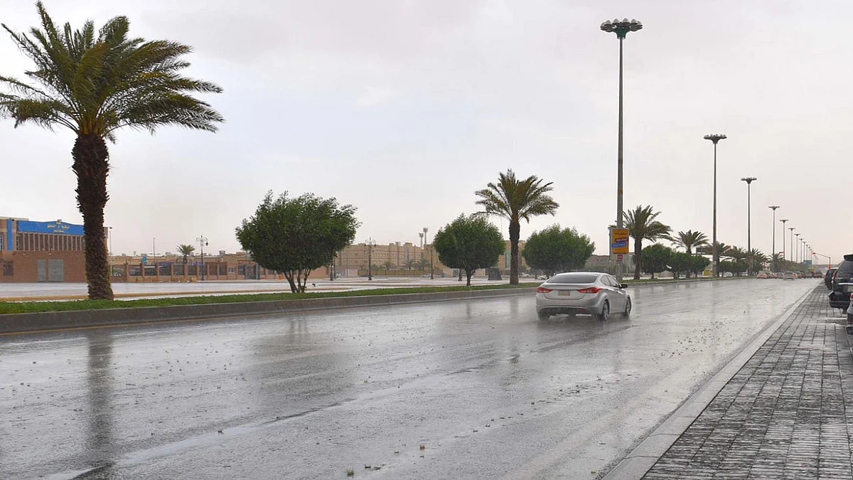 اليوم.. «الحصيني» يتوقّع وصول موجة الأمطار إلى ذروتها على مناطق عدة