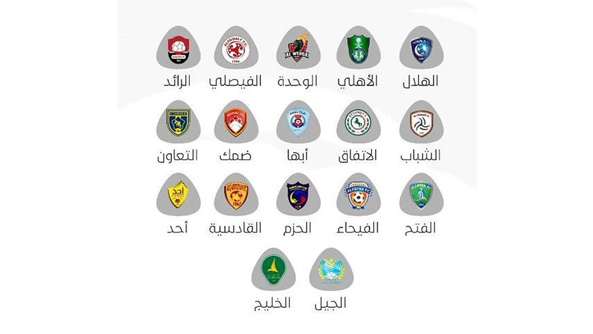 يتقدمهم الهلال والأهلي والوحدة.. 17 ناديًا يتنافسون على جائزة المسؤولية الاجتماعية