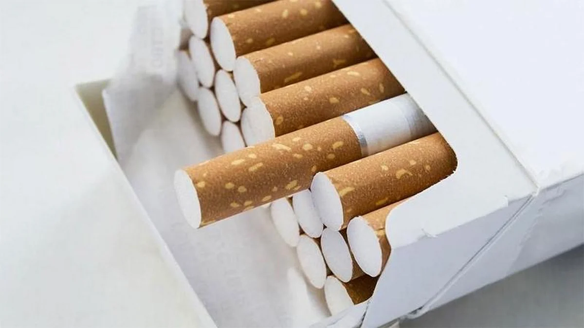 تعرف على ضوابط استيراد الأفراد للسجائر والكميات المسموح بها