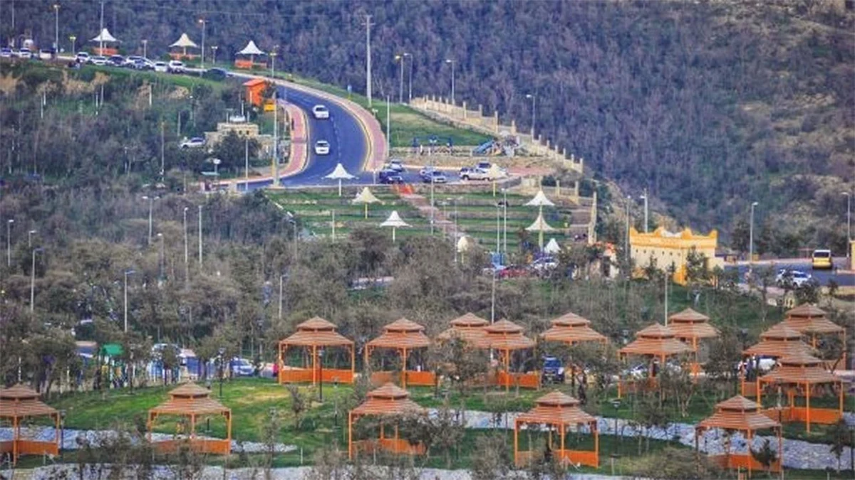 الأرصاد: أمطار رعدية اليوم بعدد من المناطق