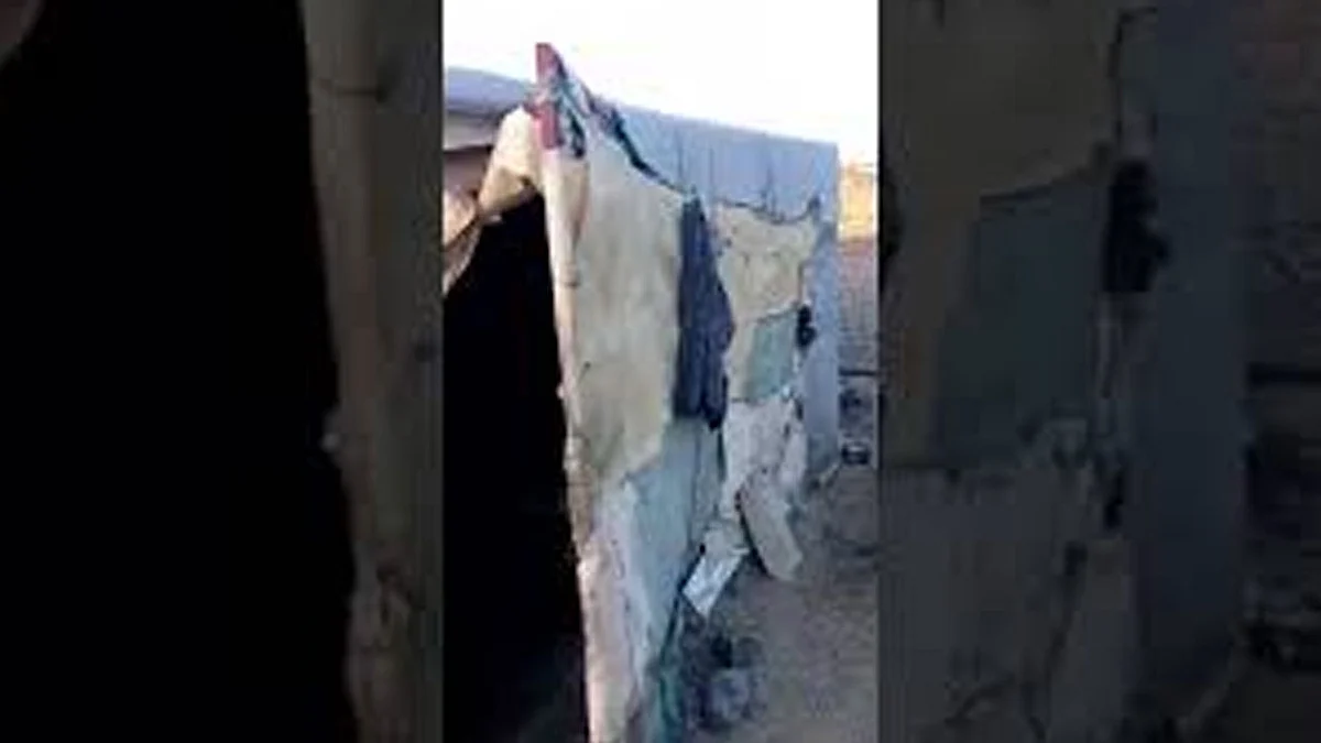 بالفيديو.. توجيه عاجل من أمير الباحة بتوفير مسكن لمسنة «شبك البر»