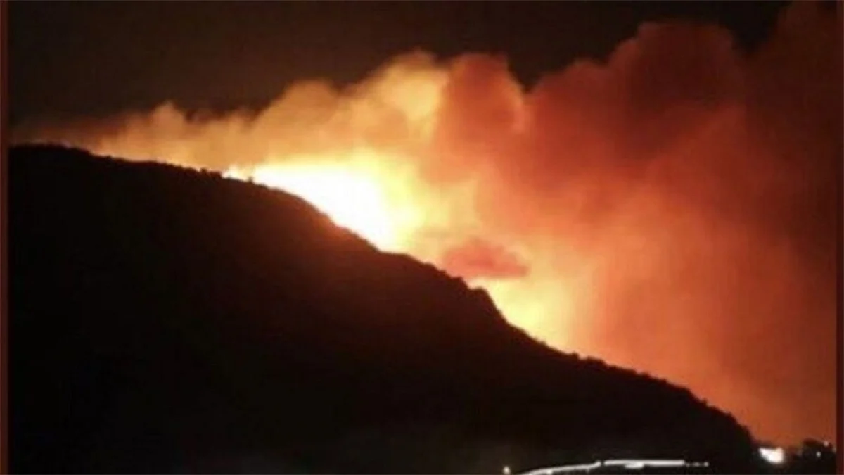 مدني تنومة يباشر حريقًا اندلع في جبل غلامة بقرية الظهارة.. والفرق مازالت تكافحه
