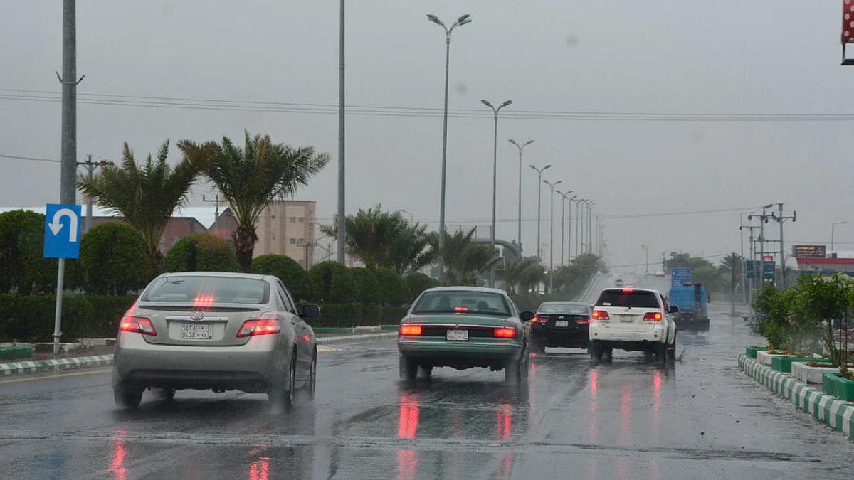 «الصخري» يتوقع موعد أول حالة وسمية ومدتها والمناطق المتأثرة بها
