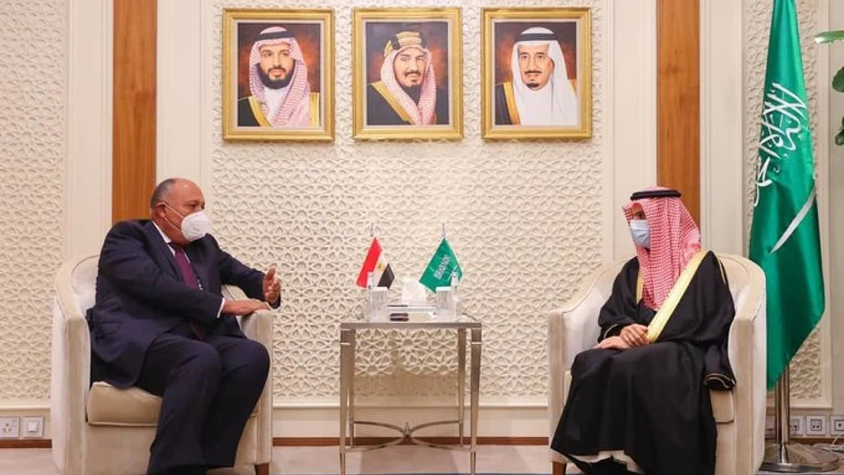 الأمير فيصل بن فرحان بعد لقاء نظيره المصري: استقبلت أخي وصديقي