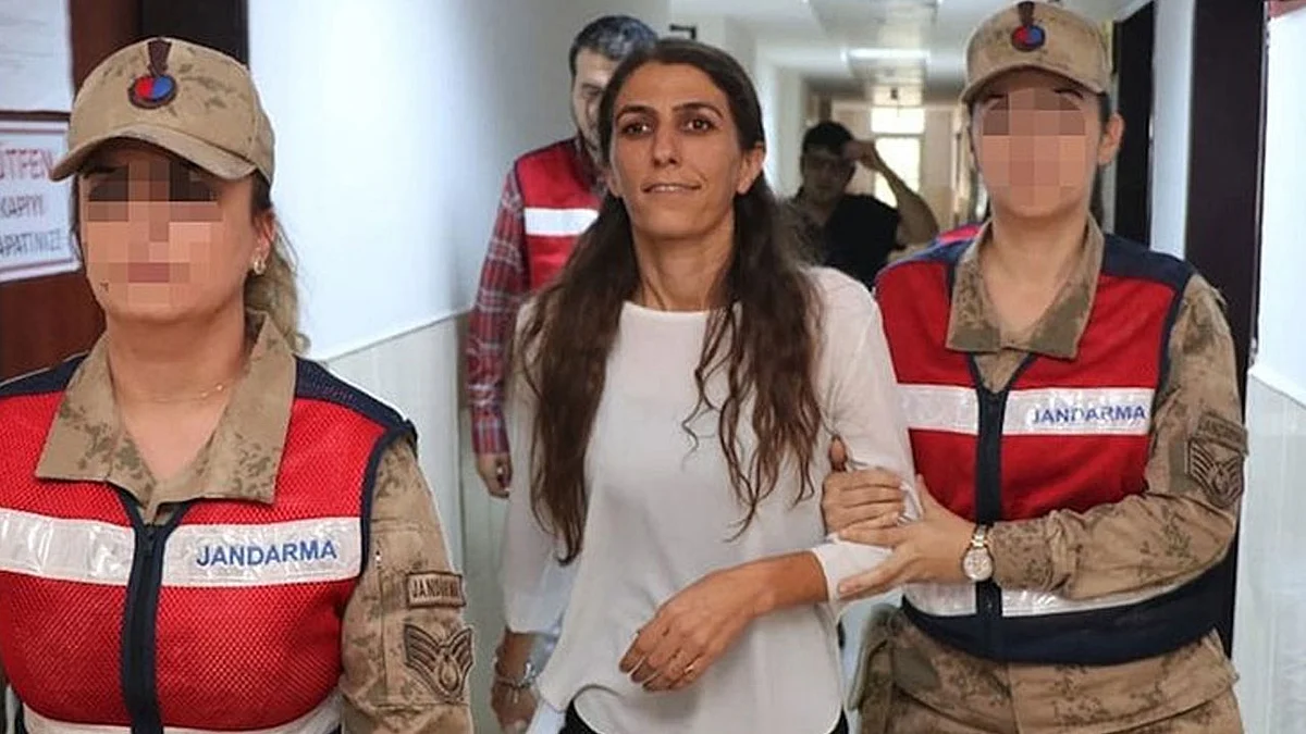 «قضاء أردوغان» يواصل تعقب المعارضة.. وآخر الضحايا «ناظليلار»