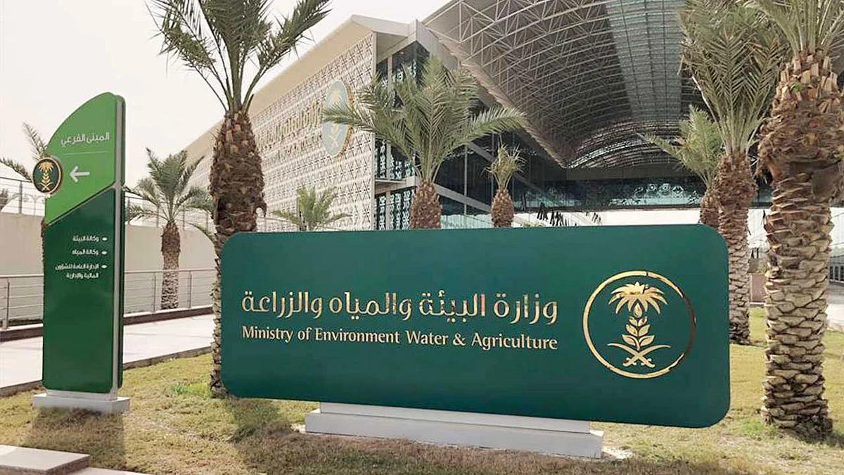 بالفيديو.. «البيئة» تكافح الجراد الصحراوي بطائرات «الدرونز»