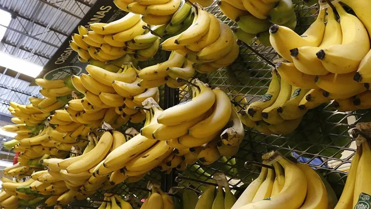 طبيب تغذية يعدد فوائد الموز لإنقاص الوزن