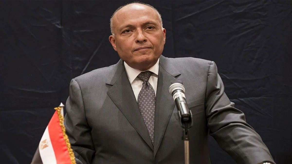 وزير الخارجية المصري يصل العلا للمشاركة في القمة الخليجية الـ41