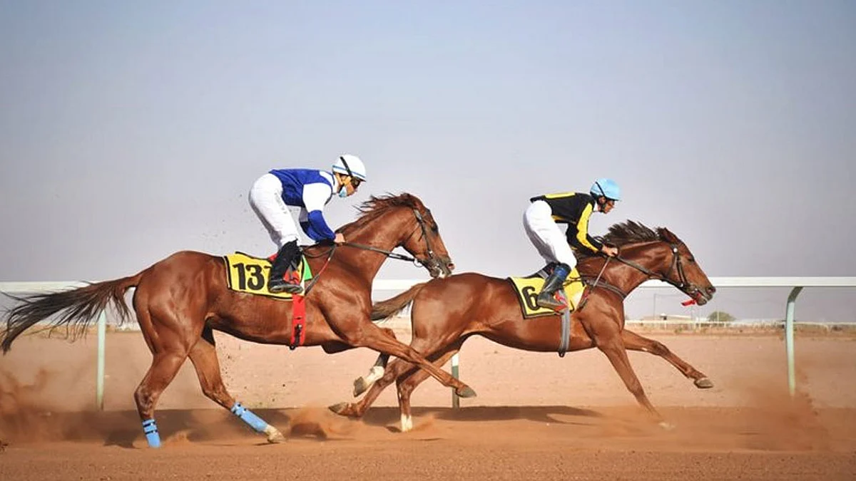 الأربعاء.. ميدان فروسية حائل ينظم حفل سباقه الثاني عشر