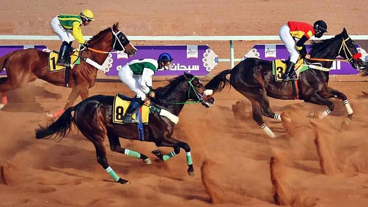 ميدان الفروسية يتوج أبطال السباق الـ12 في حائل