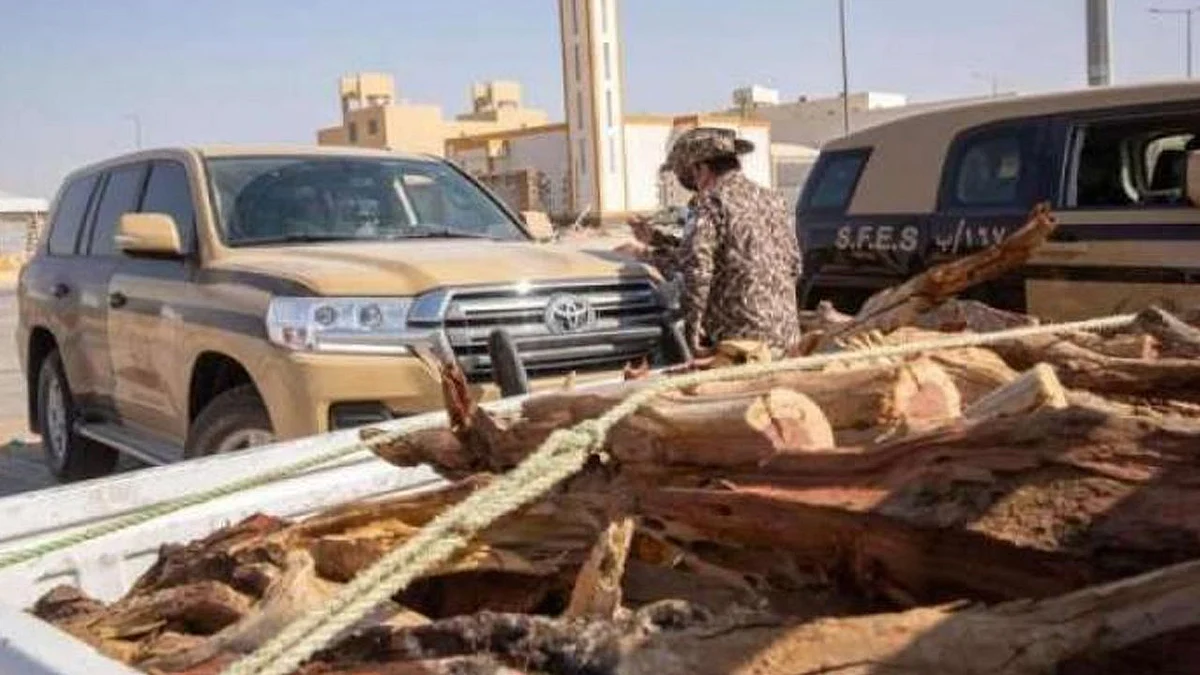 ضبط 44 مركبة محملة بالحطب المحلي المعد للبيع في 10 مناطق