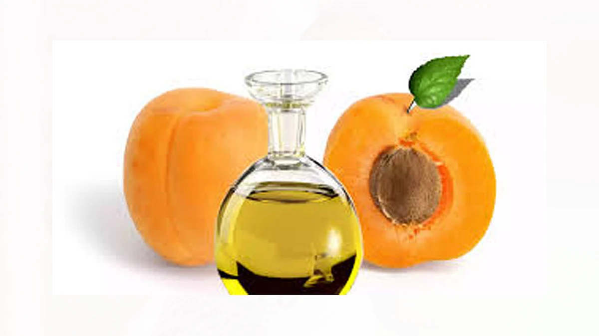 زيت بذور المشمش.. ينبوع جمال البشرة والشعر والأظافر