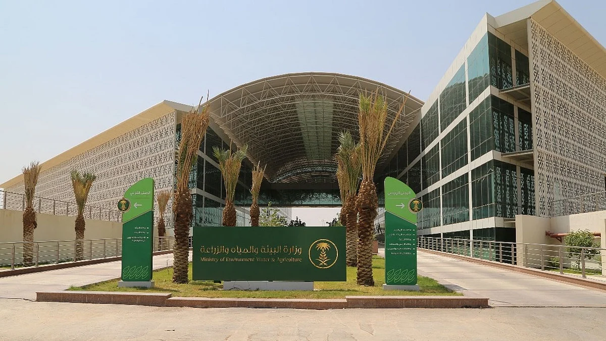 بالأسماء.. البيئة تدعو 297 متقدمًا لوظائفها إلى المقابلة الشخصية