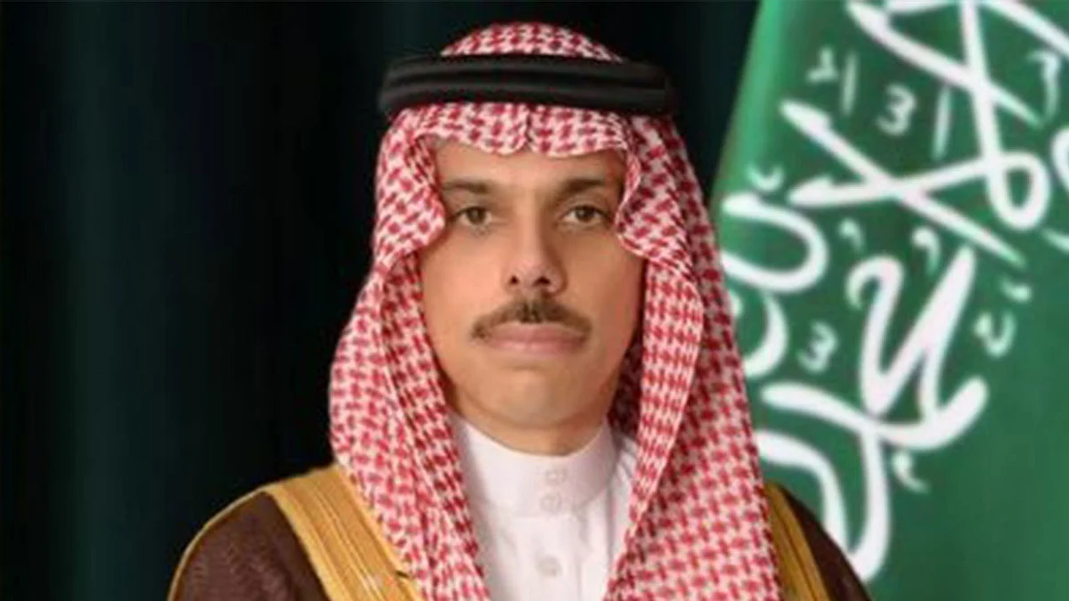 وزير الخارجية: لا مجال لحل الأزمة السورية إلا بتسوية سياسية