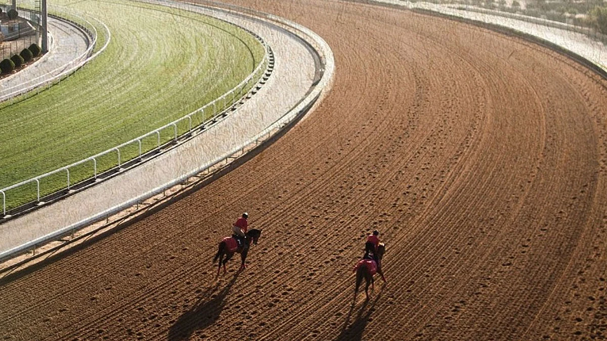 «الإنتاج المحلي والمفتوح».. «الخيل» يصدر قائمة مبدئية لكأس خادم الحرمين