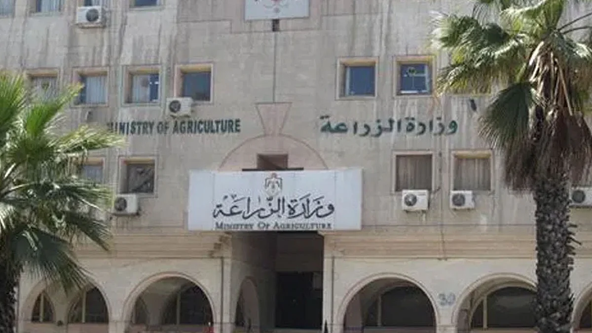 بعد تلبية الشروط السعودية.. الأردن تباشر تصدير البندورة والفلفل للمملكة