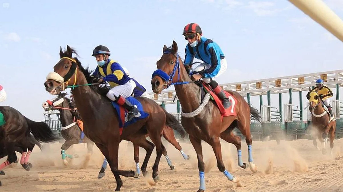 ميدان فروسية الأحساء يقيم سباقه السادس عشر للموسم الحالي