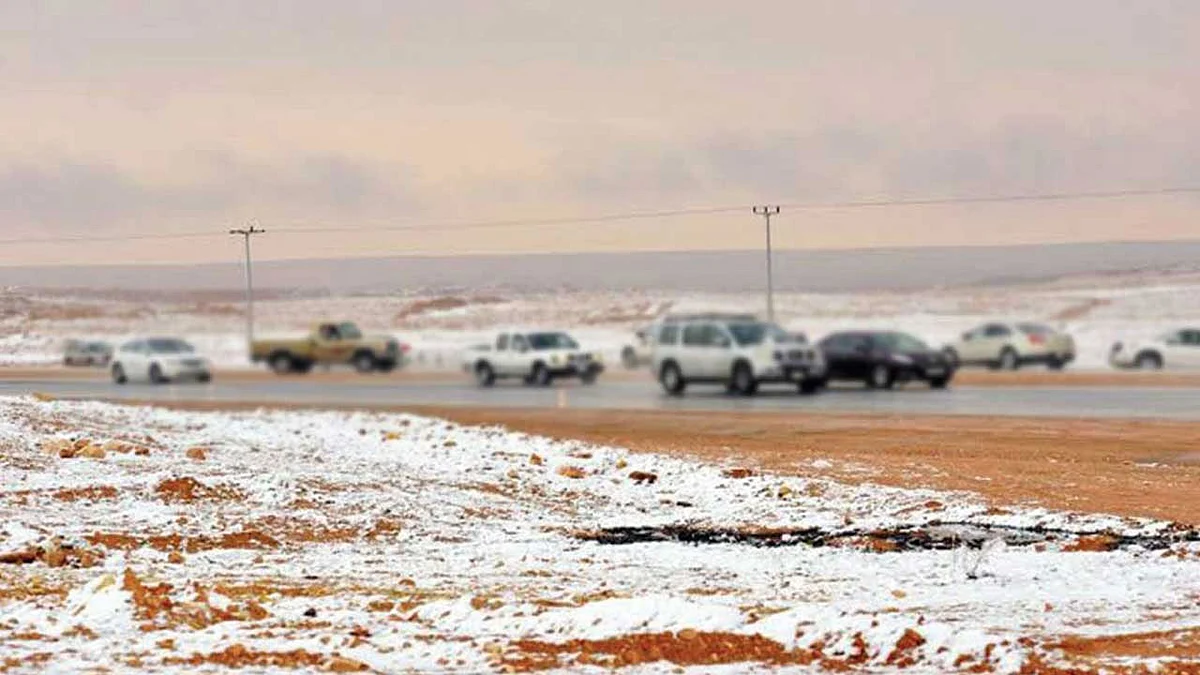 بالفيديو.. الزائر القطبي يصل تبوك والثلوج تزين مرتفعات جبال اللوز وعلقان والظهر