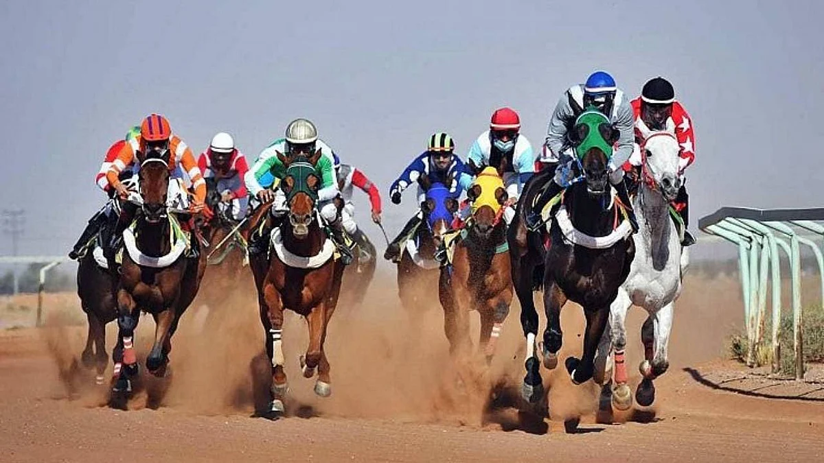غدًا.. نائب أمير حائل يرعى حفل السباق الـ21 للفروسية بالمنطقة 