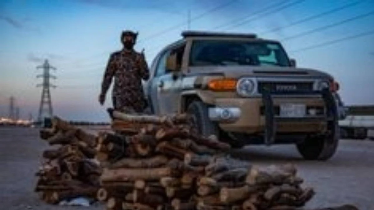 قوات الأمن البيئي تضبط حطبًا محليًا و3 مخالفين بالرياض