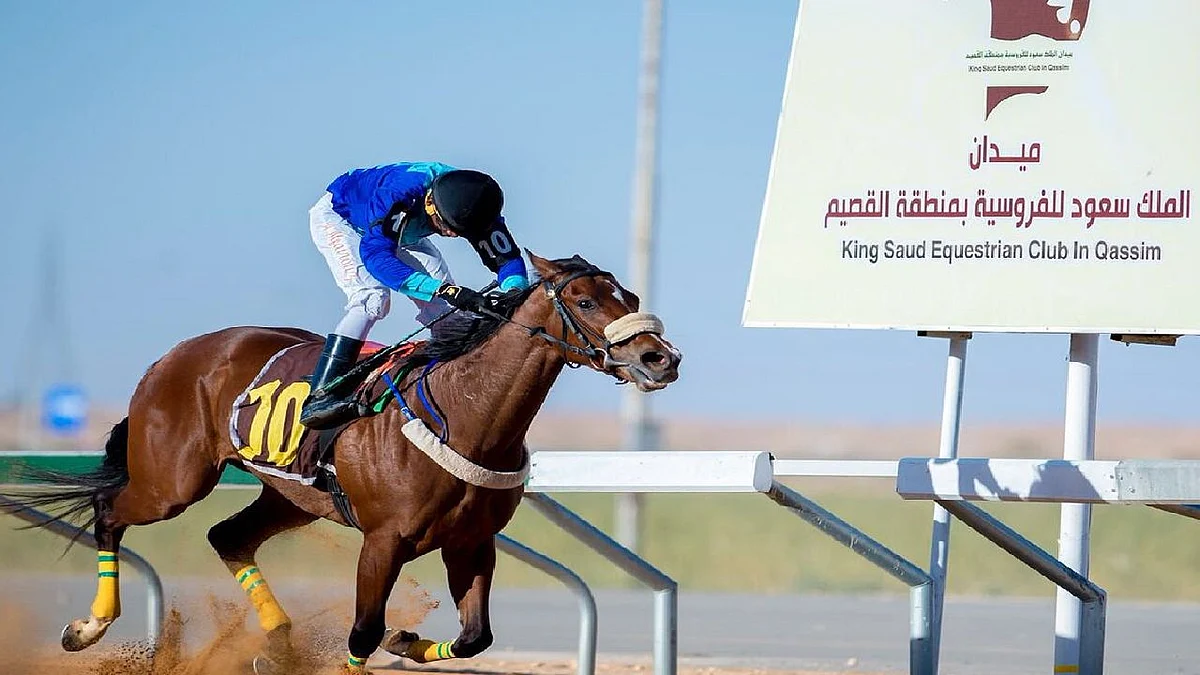 13 بطلًا في منافسات ميدان الملك سعود للفروسية بالقصيم