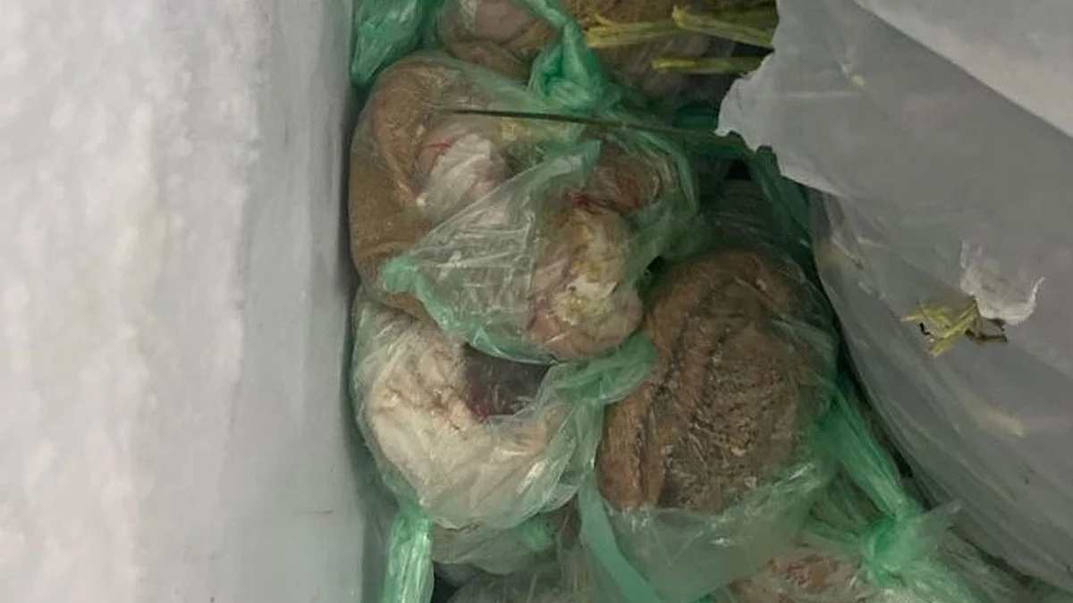 ضبط 95 كجم من اللحوم الفاسدة بمطعم جنوب الطائف