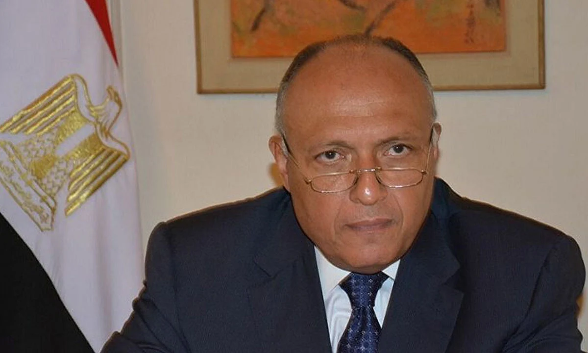 مصر تؤكد موقفها الداعم لحل سياسي باليمن وتجدد رفضها لاستهداف السعودية