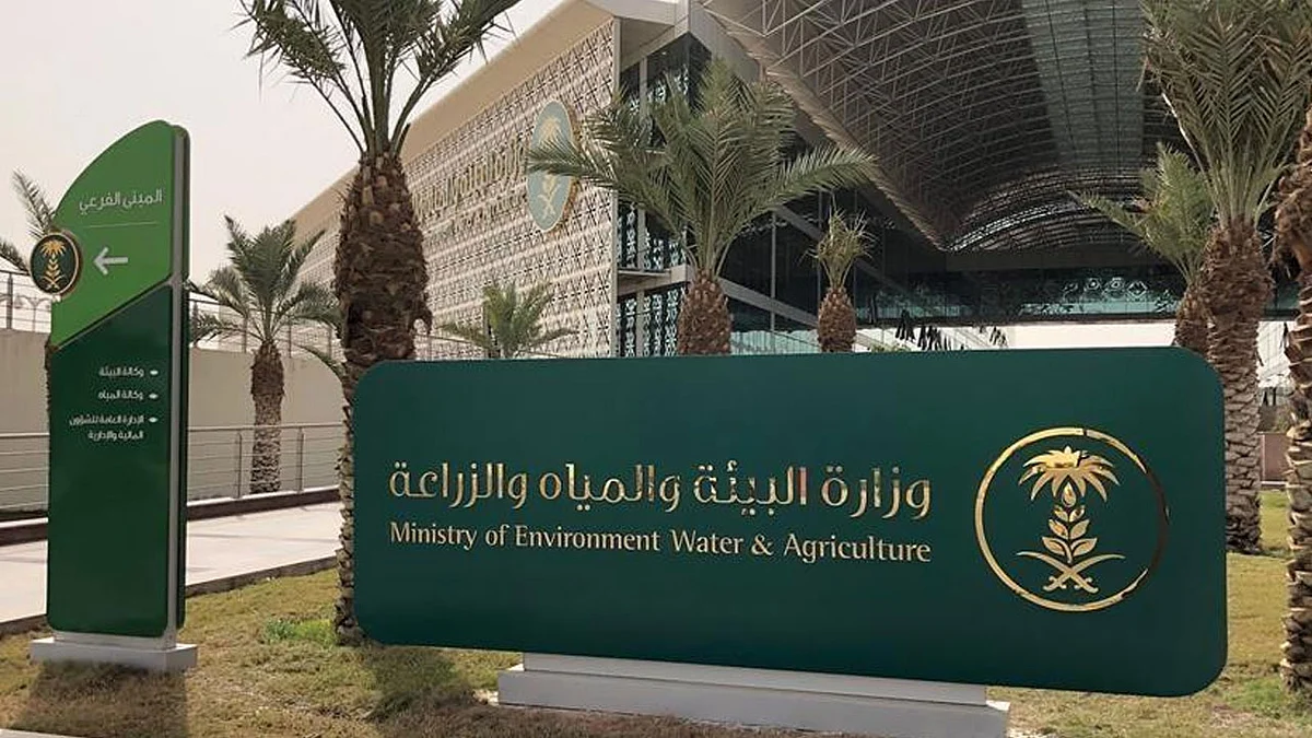 «البيئة» و«الغذاء والدواء»: المنتجات الزراعية المستوردة تخضع لمعايير مشددة لضمان سلامتها