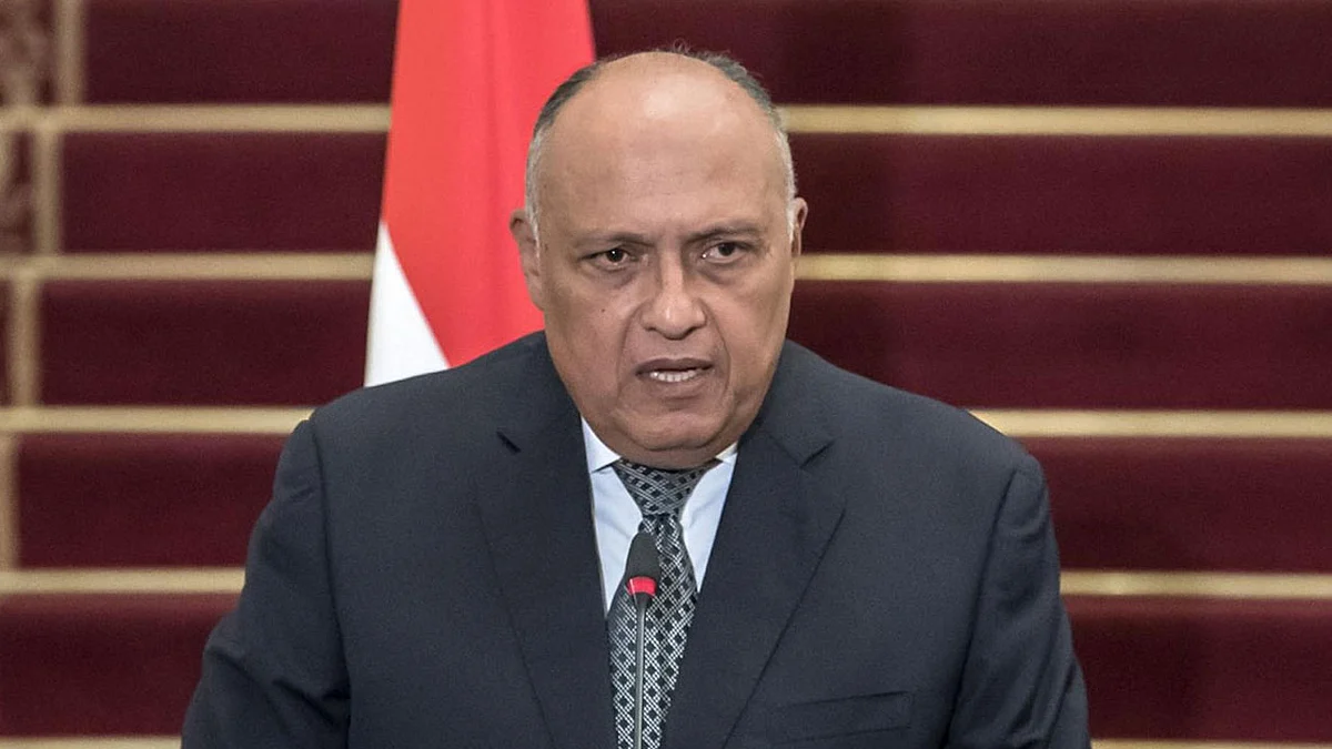 مصر تؤكد ضرورة الاصطفاف خلف مبادرة السعودية لحل الأزمة اليمنية
