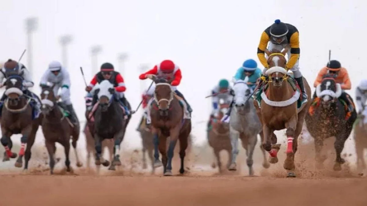 «العقيق» تدشن الحفل الأول لسباقات الخيل على كأس ميدان الفروسية