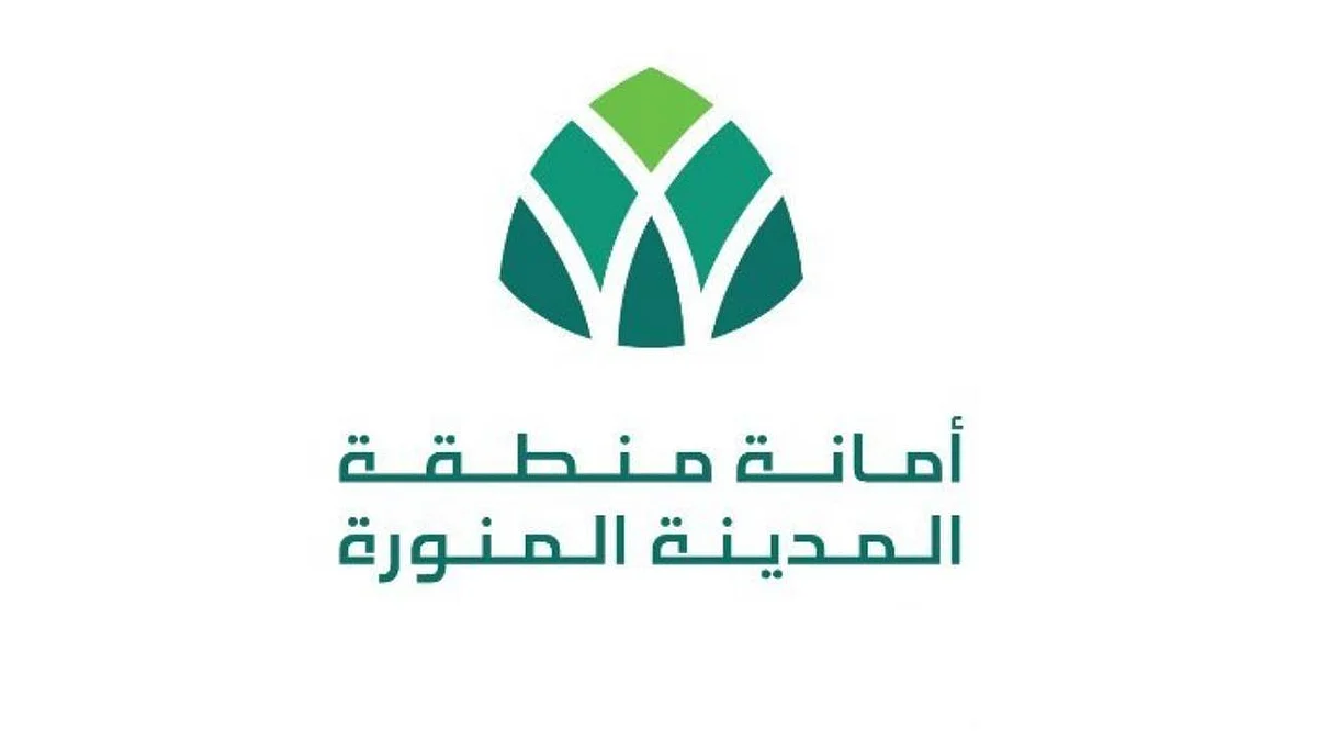 2800 شجرة تزين حدائق المدينة.. لمسة جمالية تحول المسطحات لجنة خضراء