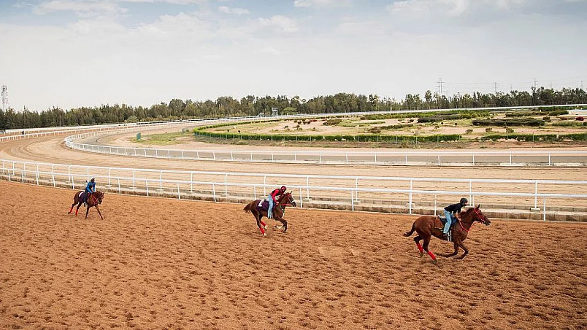 انطلاق موسم سباقات الخيل للمصيف بالطائف غدًا