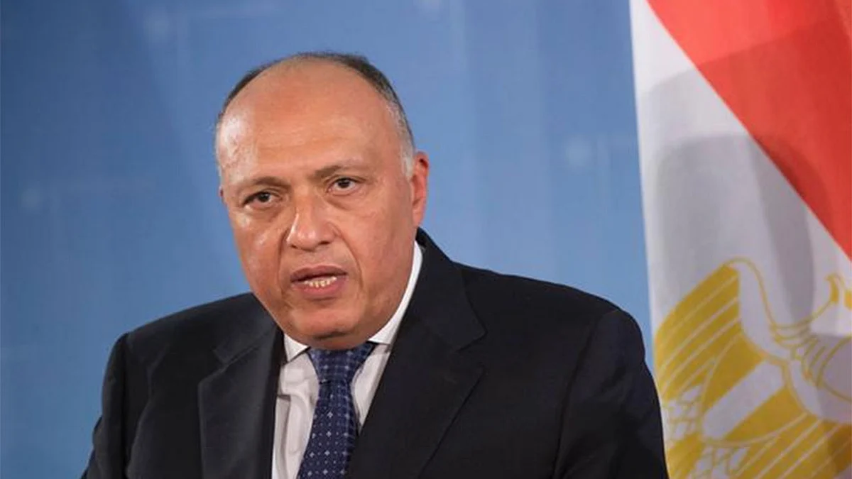 مصر تدعم سيادة ليبيا وتدعو لإخراج المرتزقة والمقاتلين الأجانب